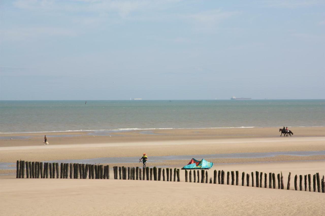 O De Mer - A 20M De La Plage Sangatte Exterior photo